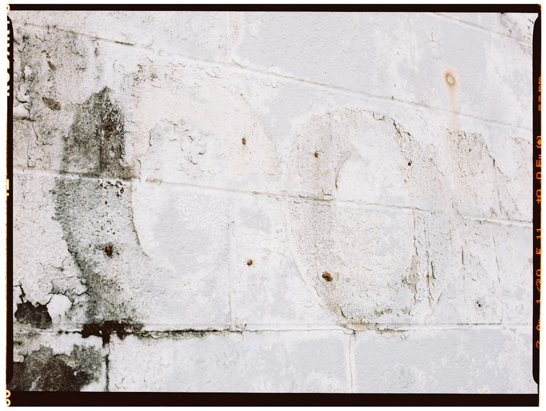 Water Extraction service in Augusta, GA