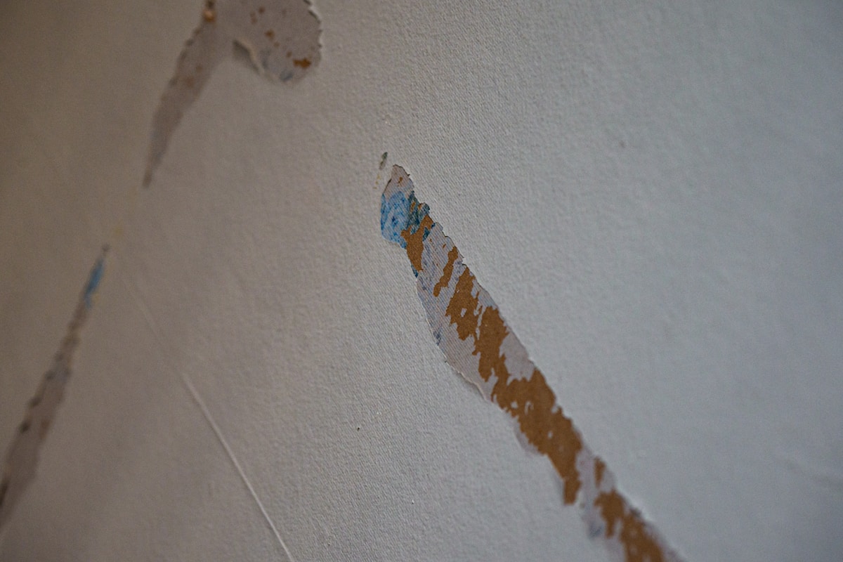 Storm Damage Repair service in Augusta, GA